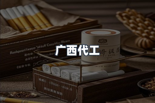 广西代工
